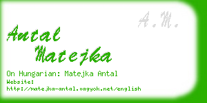 antal matejka business card